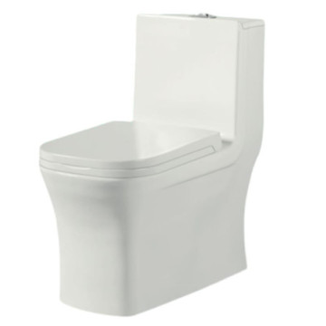 Sanitario Dual Flush de 1...